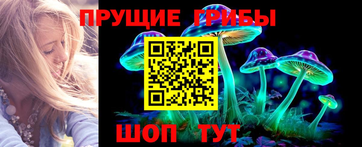 Псилоцибиновые грибы Cubensis  Вход с VPN  Рославль 